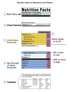 Nutrition Fact Sample